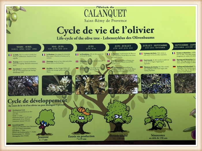 Calanquet Olive Farm