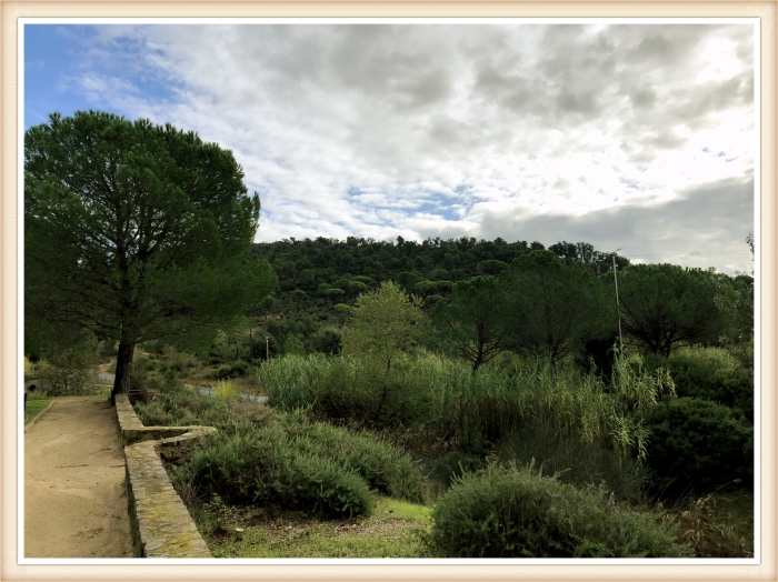 Rest Stop on way to Cannes